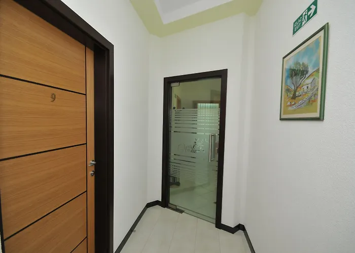 & Maslina تروغير